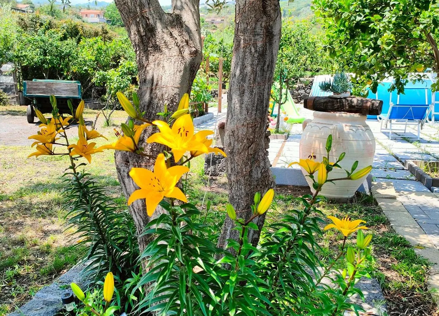 Villa Il Limoneto Di Leo à Mascali Hébergement de vacances